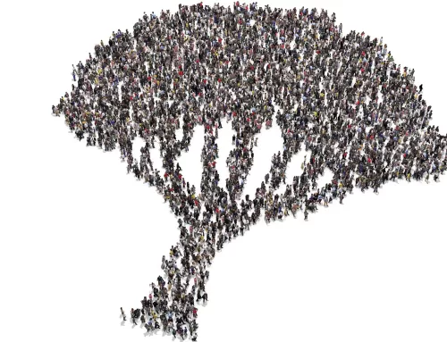 Our Tree of Diversity