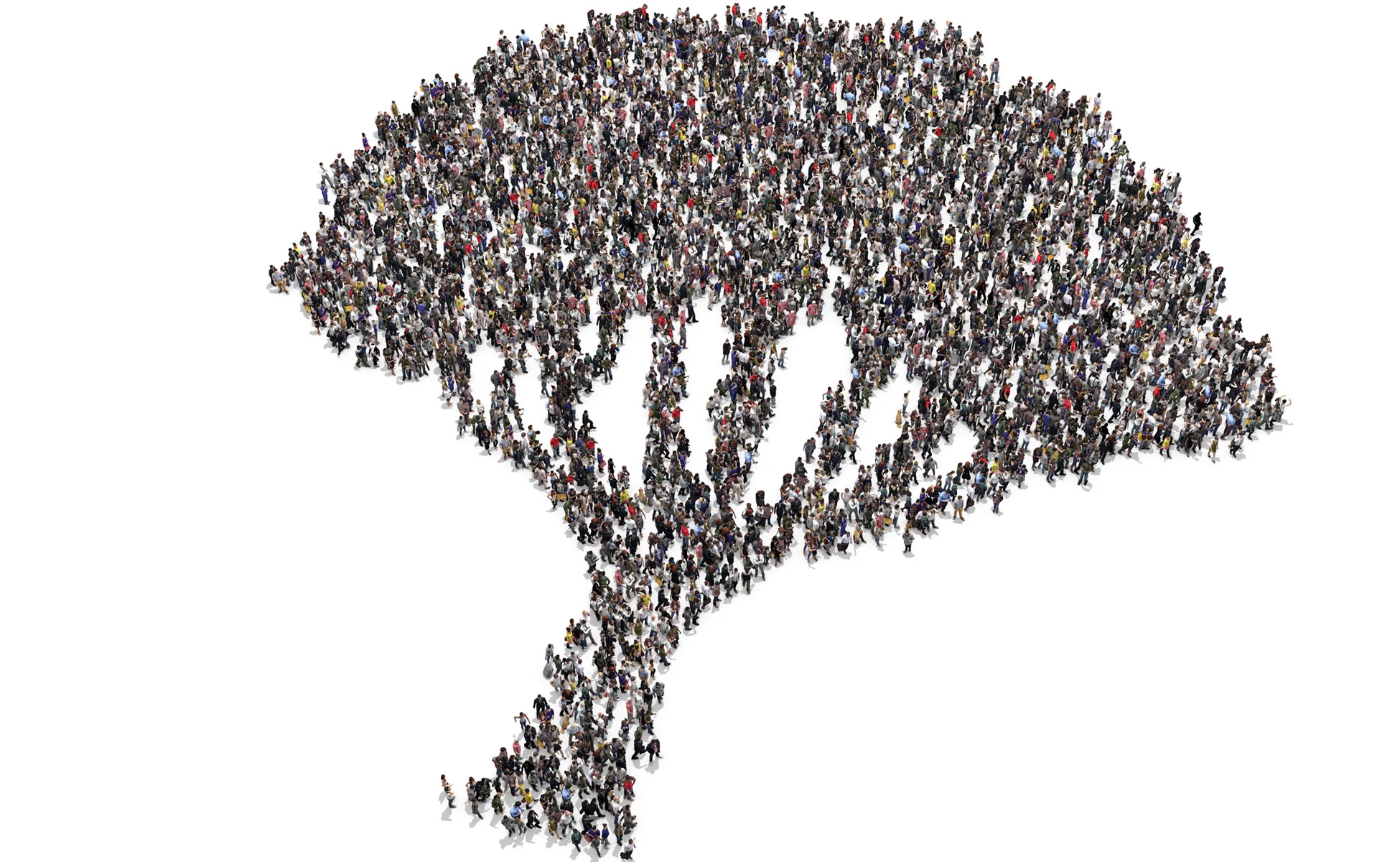 shape of tree created by overhead view of Optima's diverse workforce